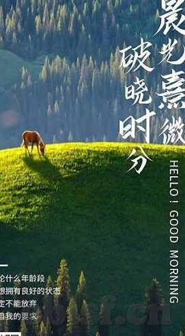 6080yy电影伦理片-电影伦理的边界，6080yy电影伦理片的社会与文化反思