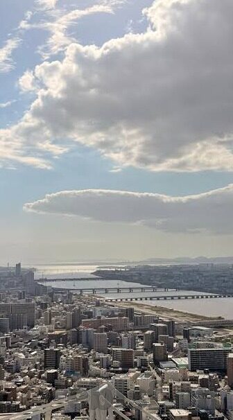 91麻豆经济-解读91麻豆经济的绚丽篇章，从微观到宏观的深度透视