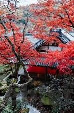 av人妻-探索AV人妻现象，文化、心理与伦理的交织