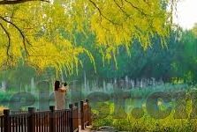 久久精品国产91久久麻豆自制-探寻国产影视新风尚 —— 久久精品国产91久久麻豆自制的文化现象