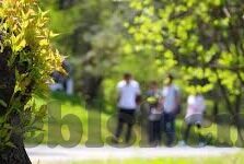 麻豆传媒网站是多少-揭秘麻豆传媒网站背后的真相与影响