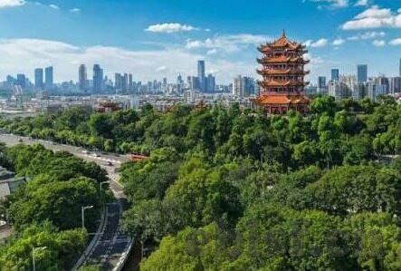 糖心视频APP下载-解锁新视界，糖心视频APP的沉浸式体验