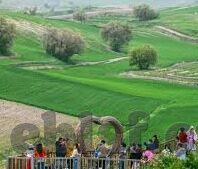 中文字幕 人妻 一区-探索中文字幕在人妻主题影片中的角色与影响